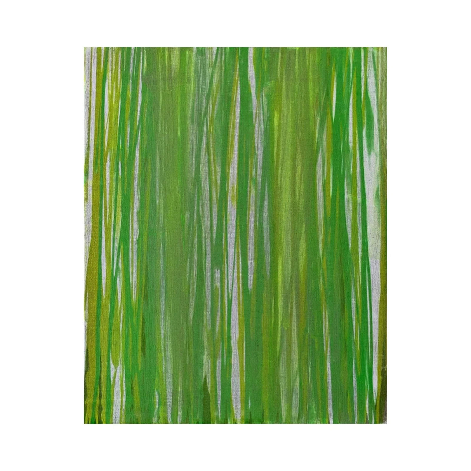 WHERE CACTI GROW IVV - View 1